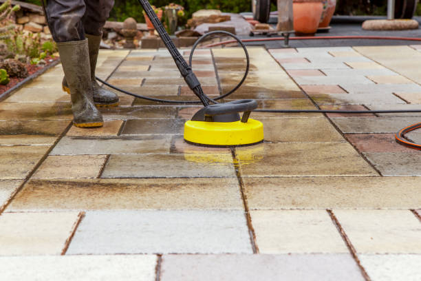 Best Animal Enclosure Cleaning  in Dayton, IN